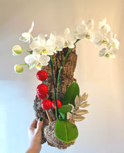 Load image into Gallery viewer, Holiday Phalaenopsis orchid hanging mount live plant
