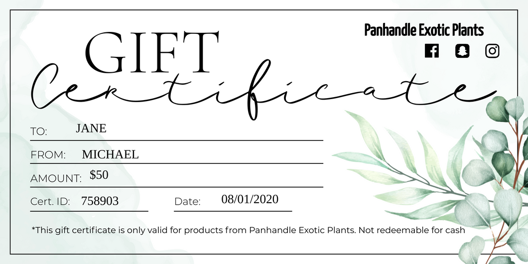 Panhandle Exotic Plants Gift Cards